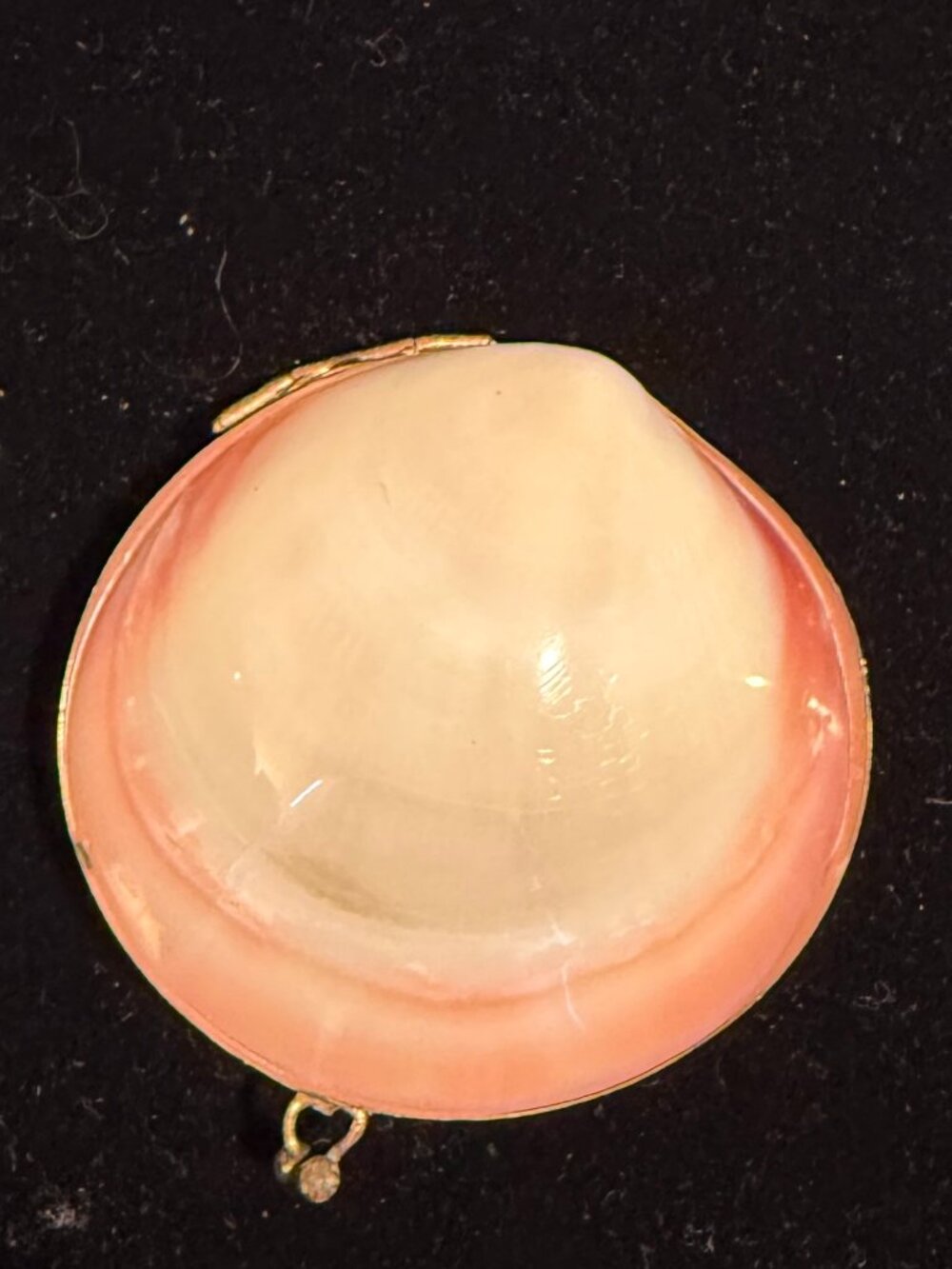 Vintage shell snuff box / trinket